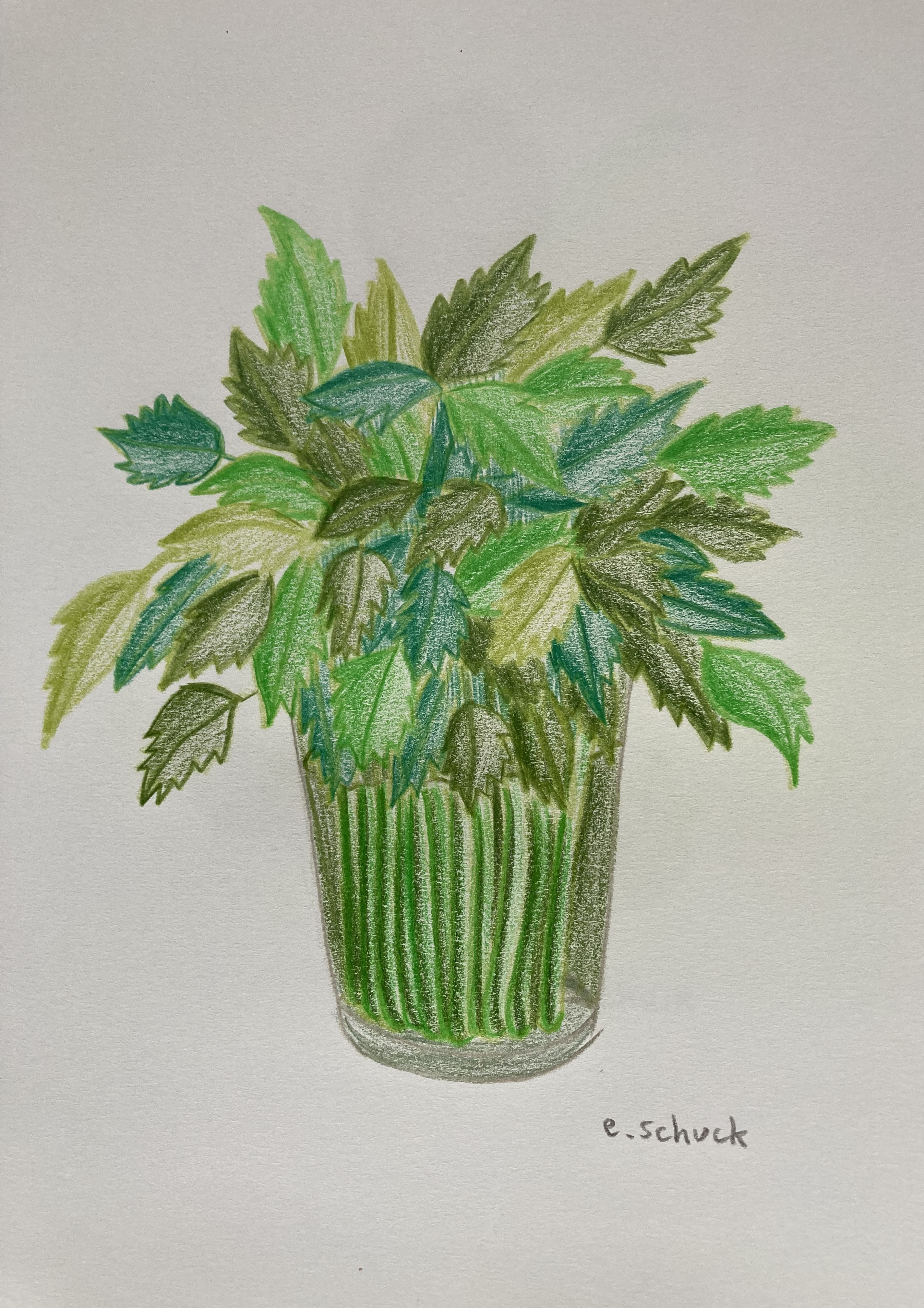 Essais aux Polychromos sur carnet A4...-1