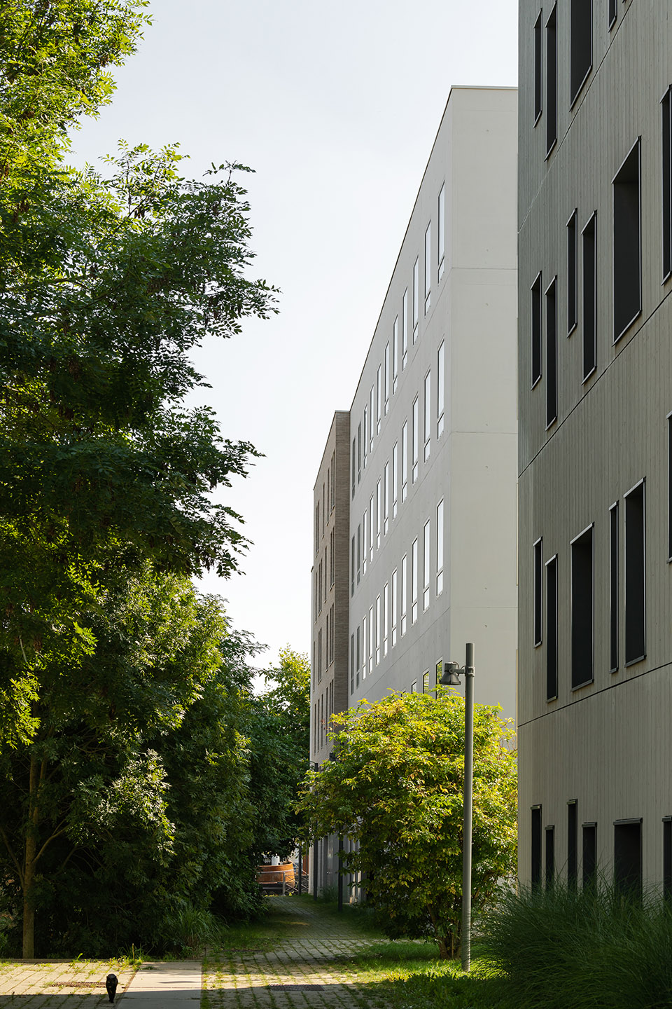 Rives de la Haute Deûle开发区13B地块设计，里尔 / KAAN Architecten-39