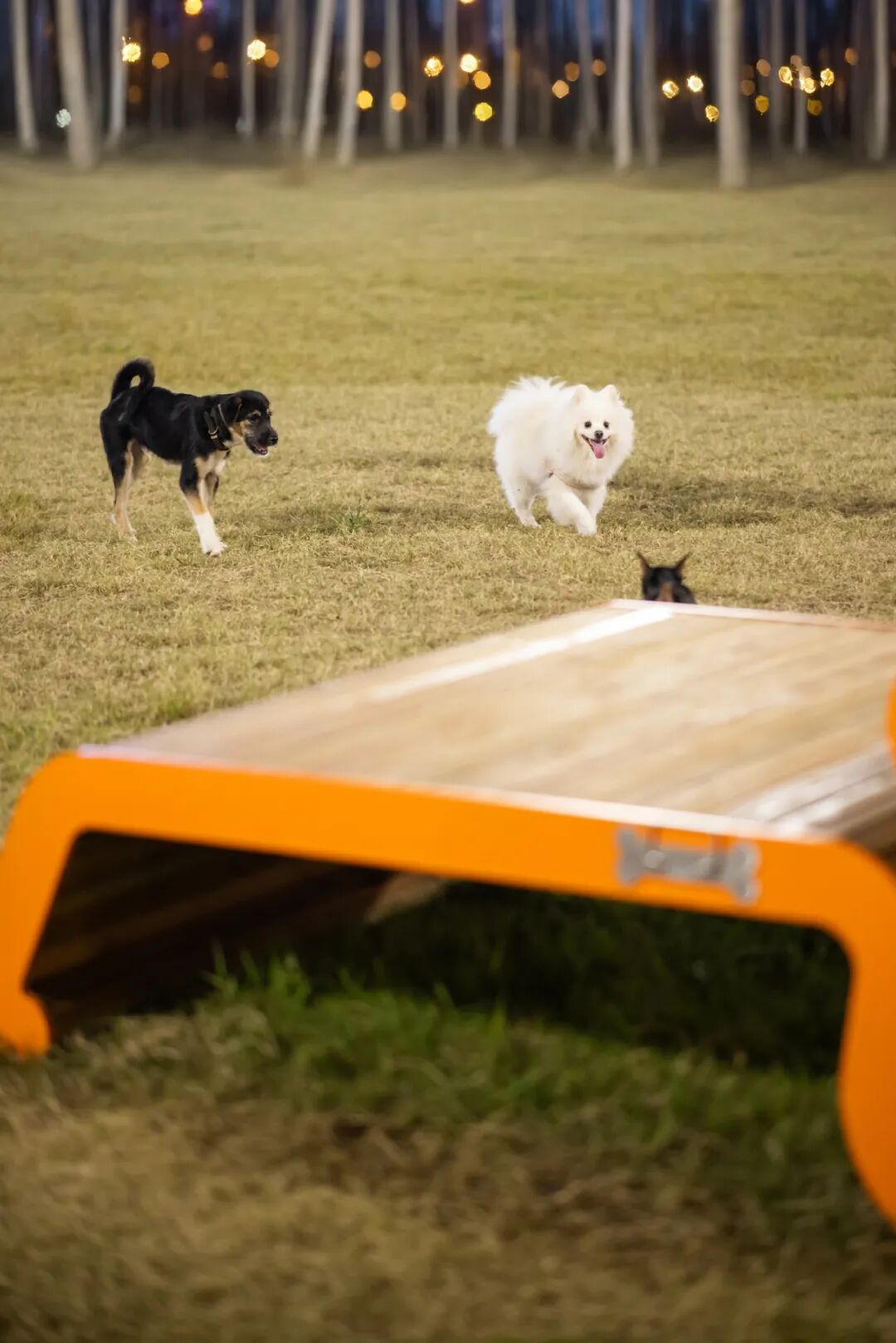 南京雨花万象天地｜场景塑造让商业空间有了生活温度-50