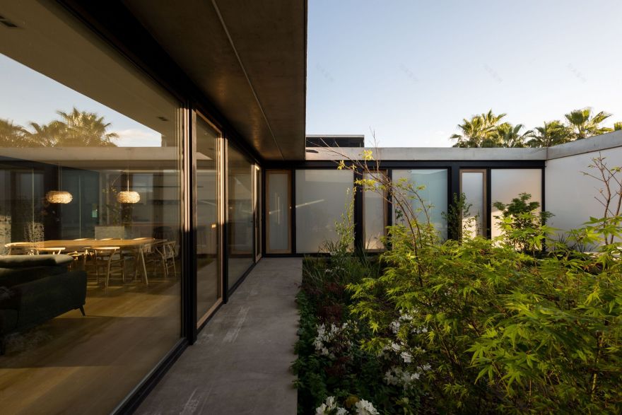 带有一所房子的庭院丨阿根廷丨LescanoPuente arqs-14