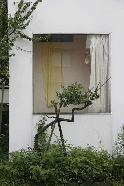 灵活空间与自然共生的现代住宅设计-40