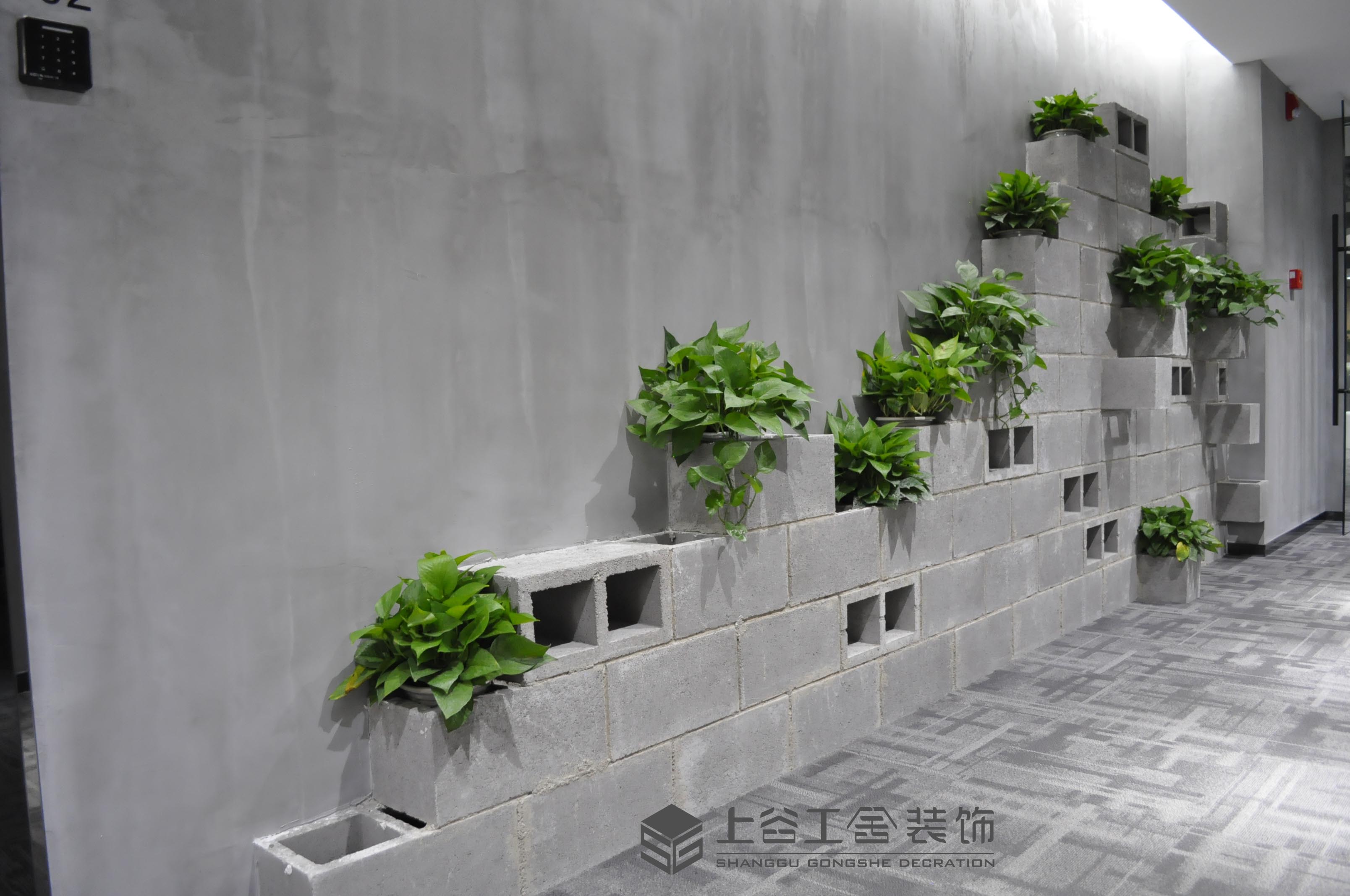 易创橙热带雨林风情室内设计-13