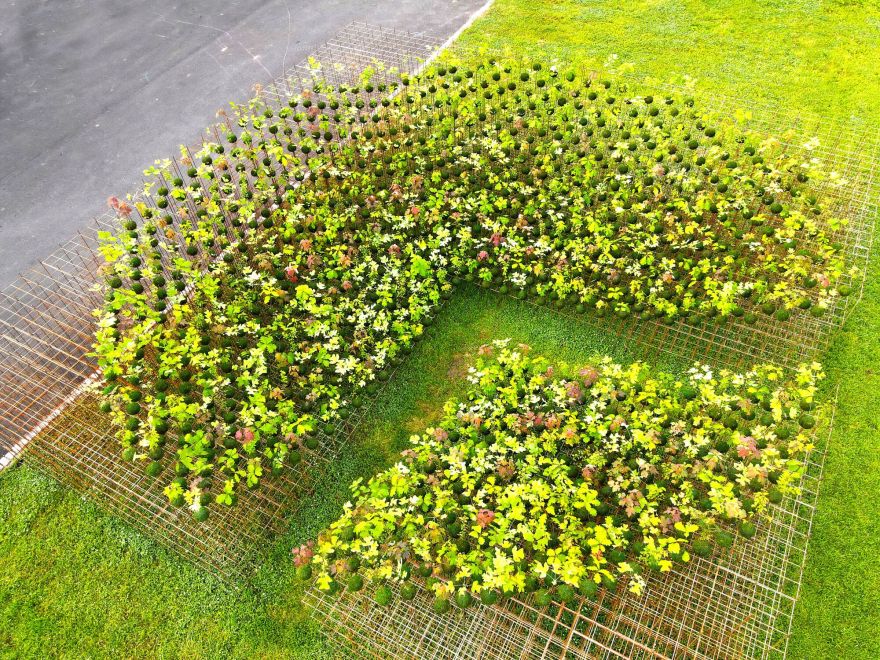 Kokedama Forest Installation,可持续微型森林雕塑-23