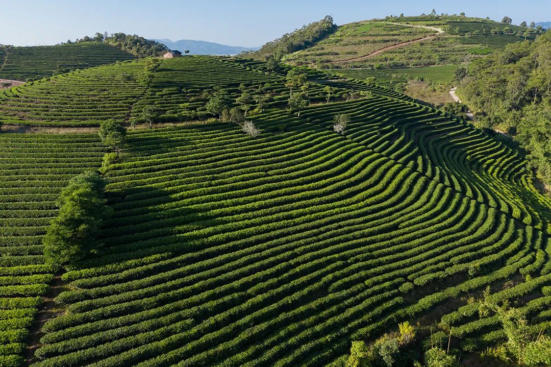 融创普洱国际健康城丨中国普洱-17