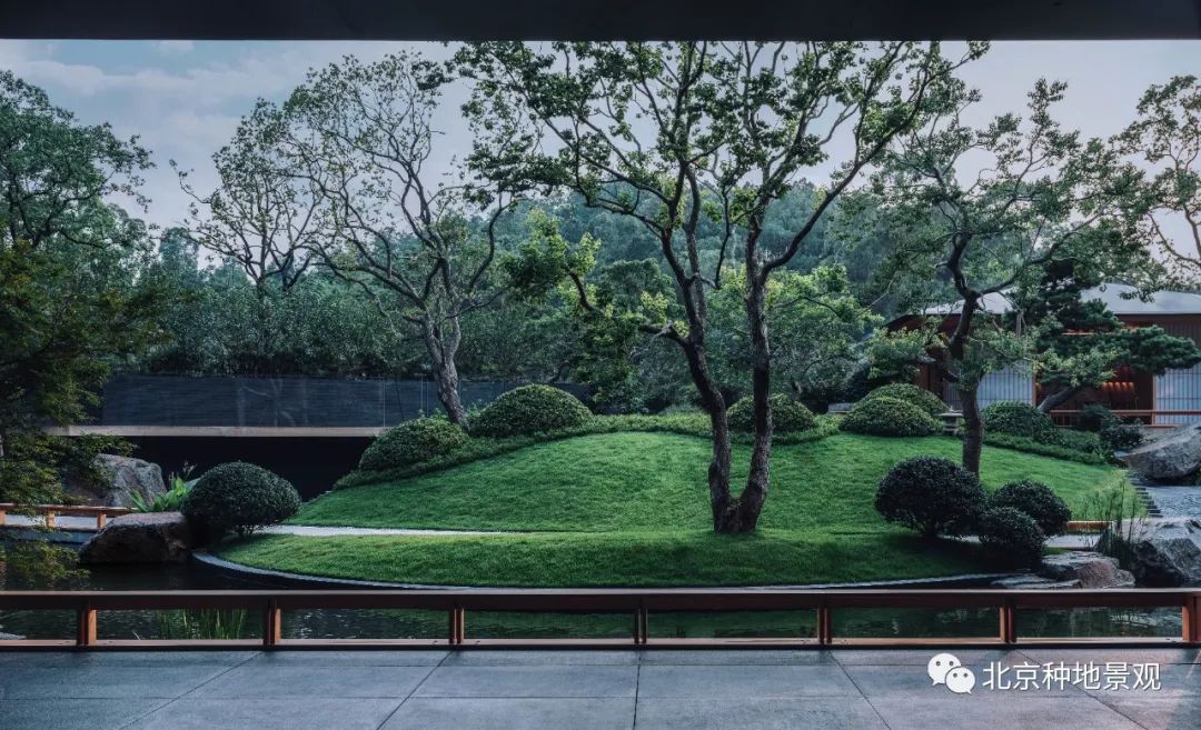 山外山外山外山 | 广州合景月养云来-59