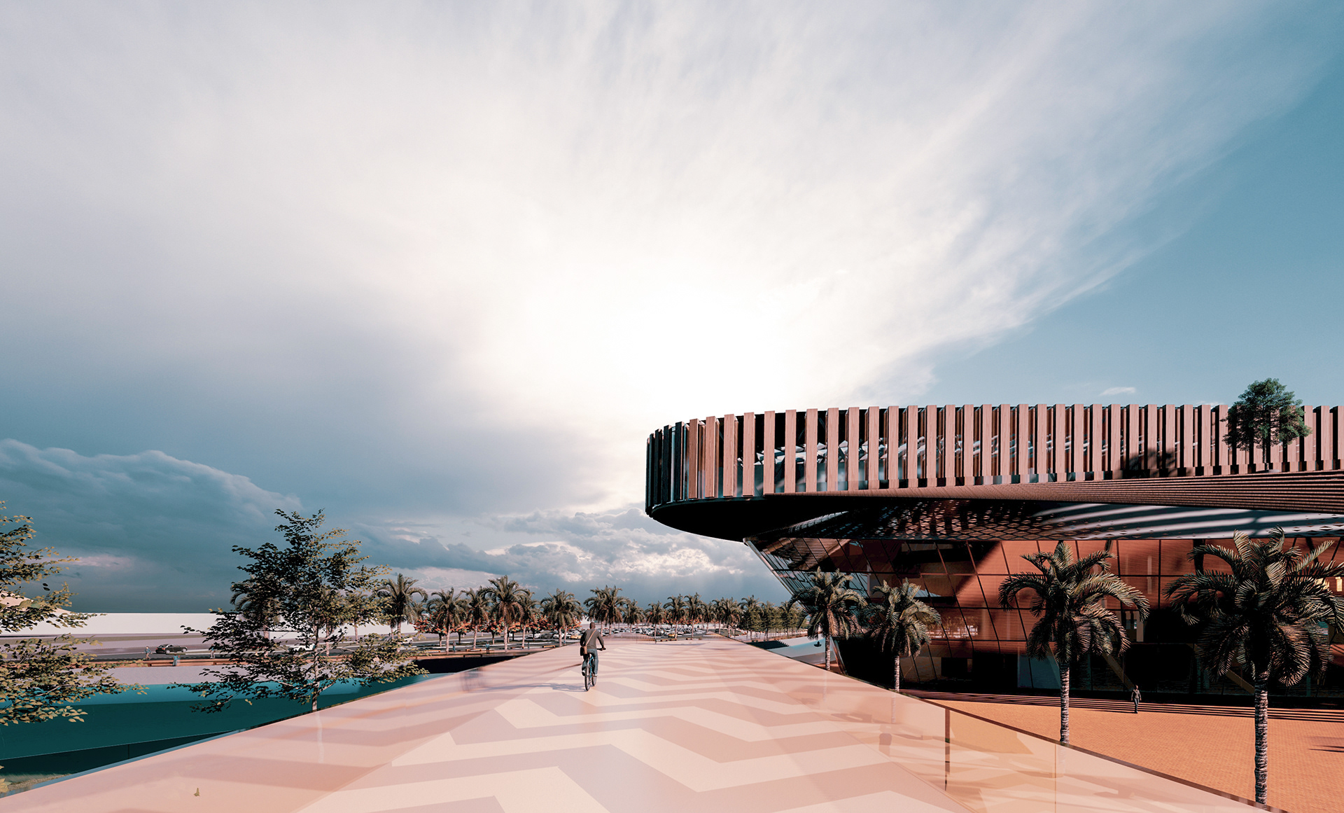 非洲区丨ASUFEDA-13