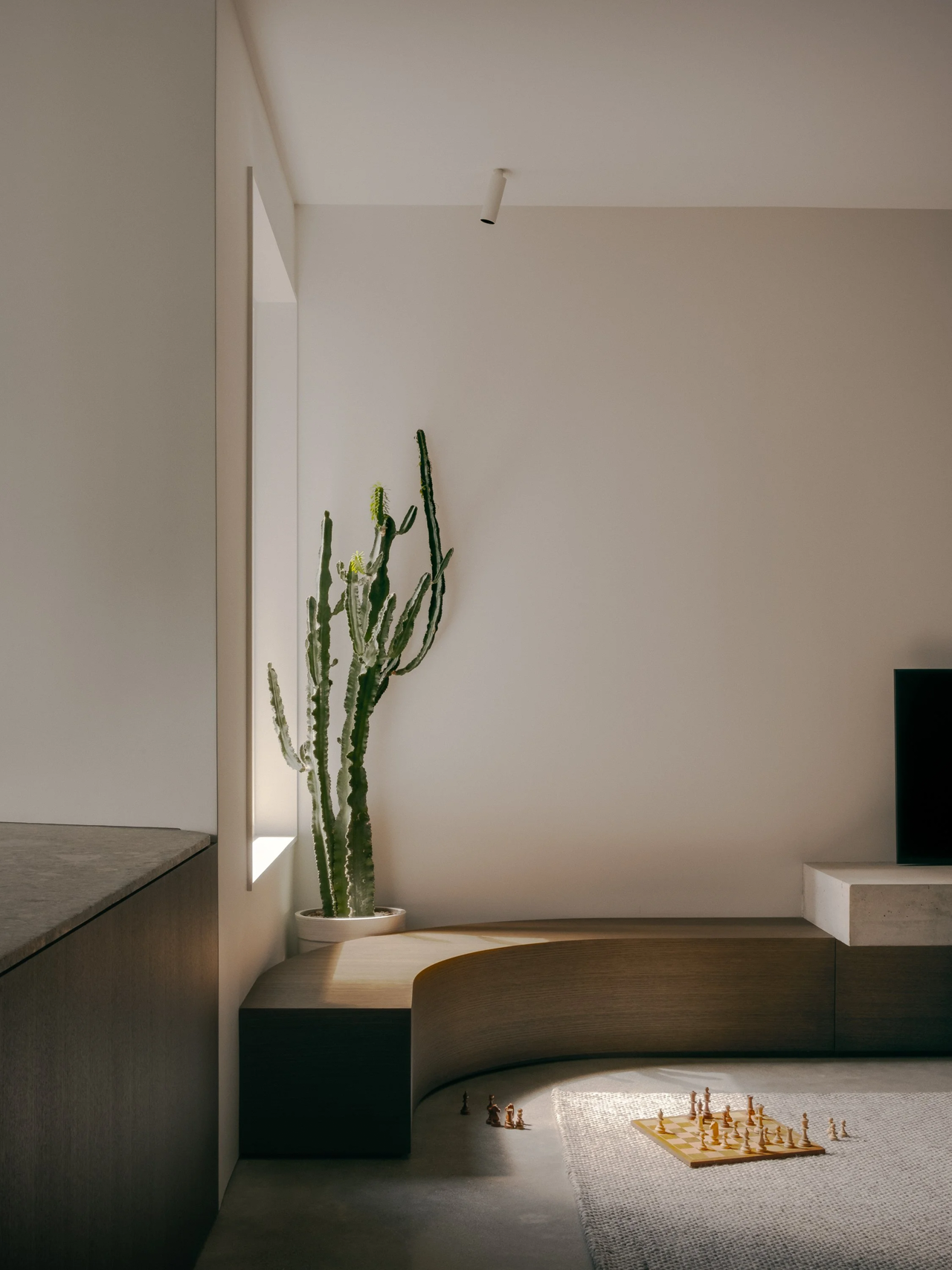 Rathnelly House改造项目丨加拿大多伦多丨VAARO Studio-30