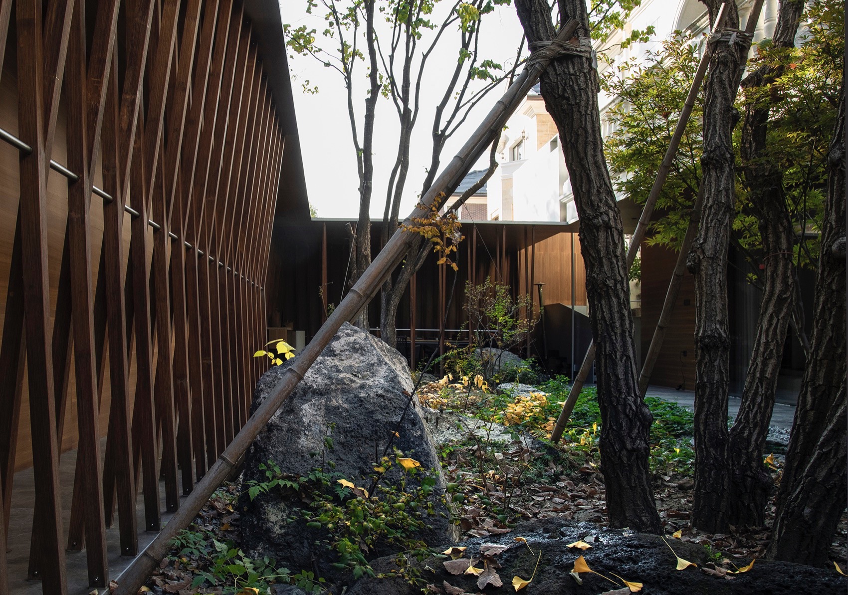 满园丨中国北京丨TAOA陶磊建筑-15