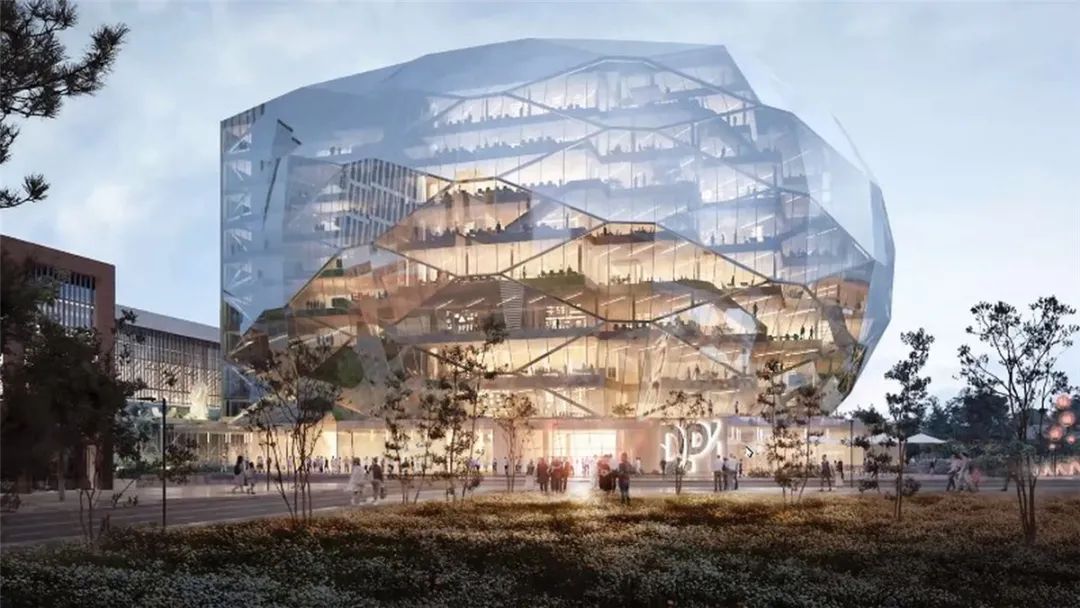 发现伙伴研究所丨OMA-3