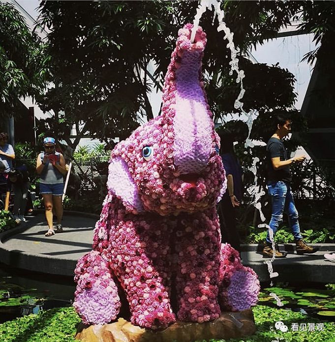 星耀樟宜 | 雨漩涡与绿意交织的机场奇迹-66