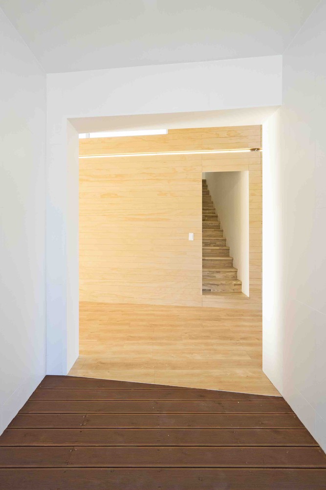 温暖阳光照亮受伤主人生活-61