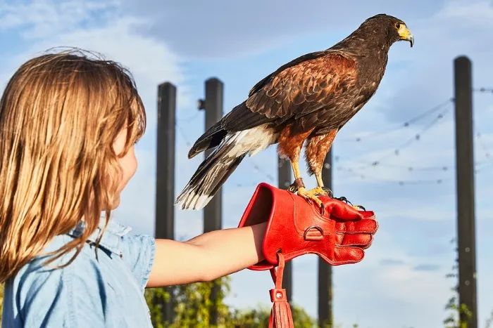 野花农场度假村丨美国纽约丨Auberge Resorts Collection-39