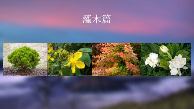 秋凌景观陪伴你学习的第3128天-24