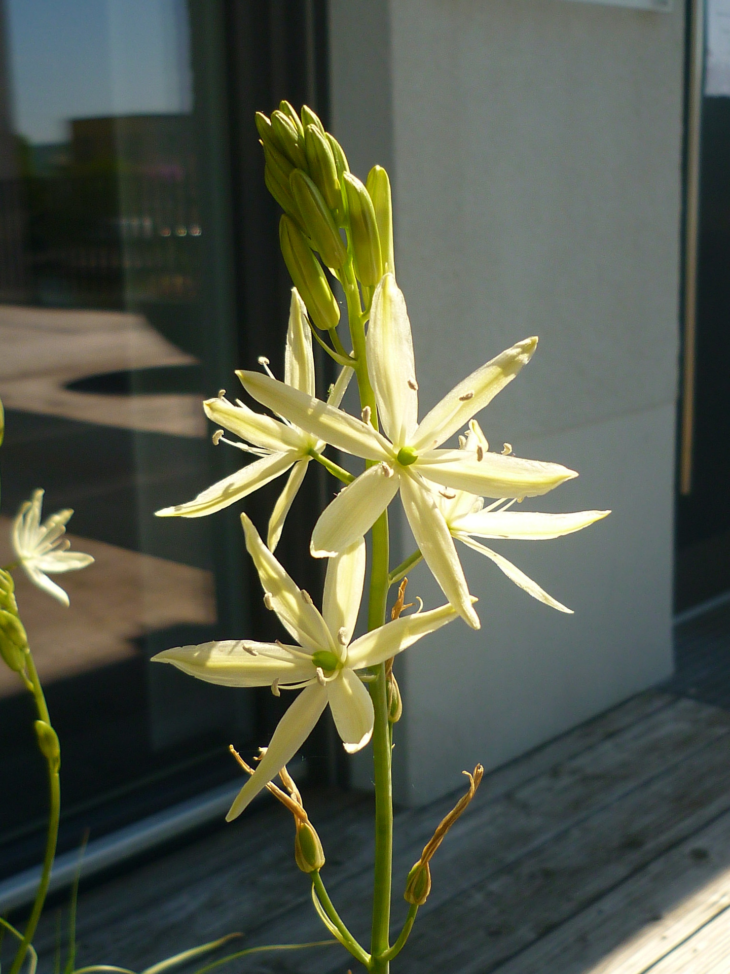 水边露台庄园丨Jörg Kaspari-12