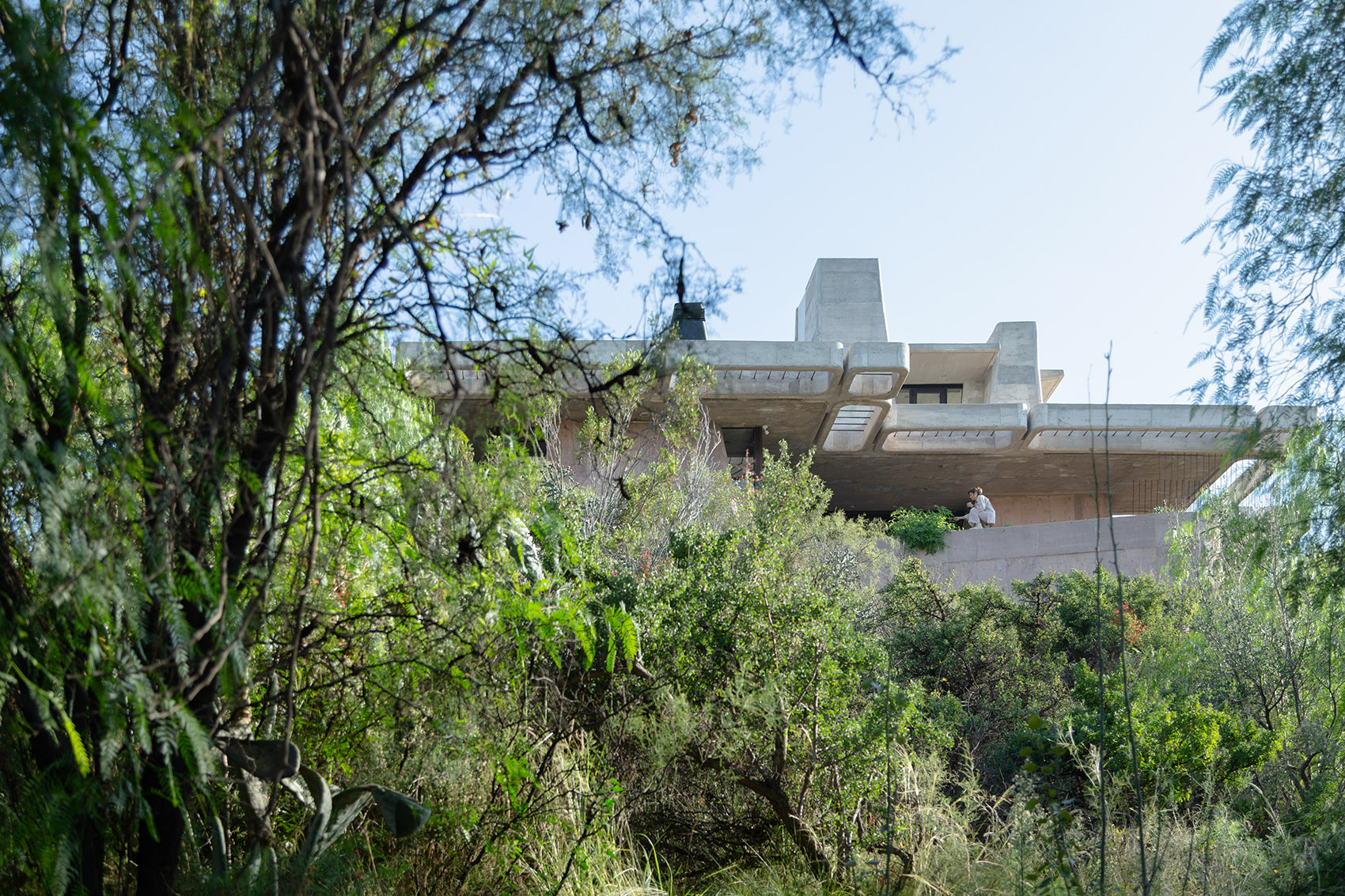 Brutal Honesty住宅丨阿根廷门多萨丨OF. STUDIO-101