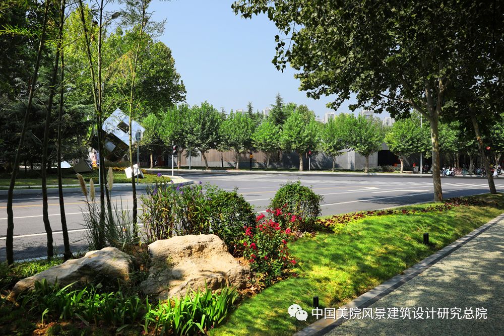 朝凤路景观改造提升 | 自然与城市的和谐共生-19