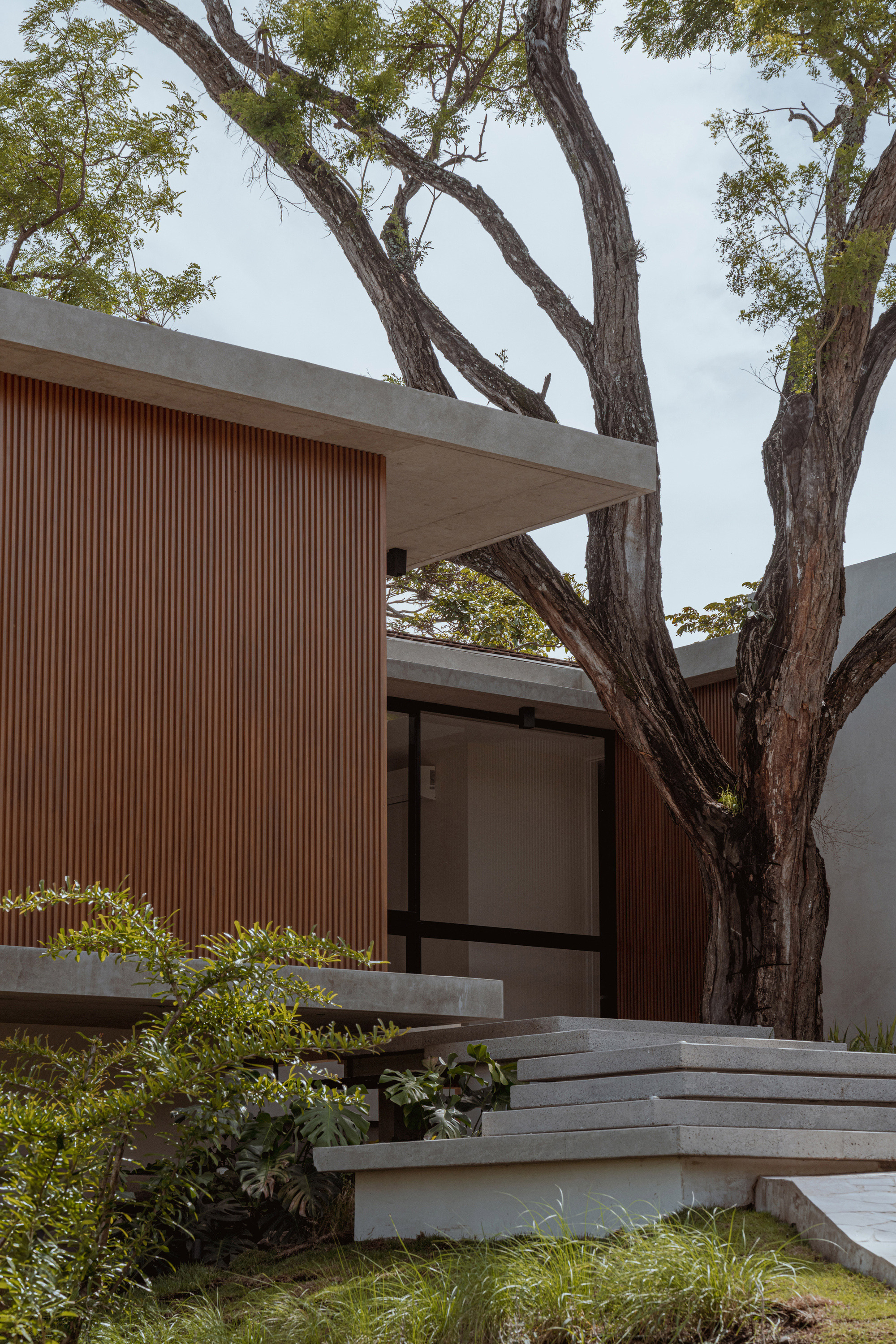 疯狂之屋（注：Casa Mad结合常见语境，可能较为符合一些叫Casa Mad的景点的含义，比如越南大叻的疯狂之屋（Càt Tường Điên Đã，也被称为Mad House ），若有特定背景信息请补充） 丨哥斯达黎加圣何塞丨JSARQ-27