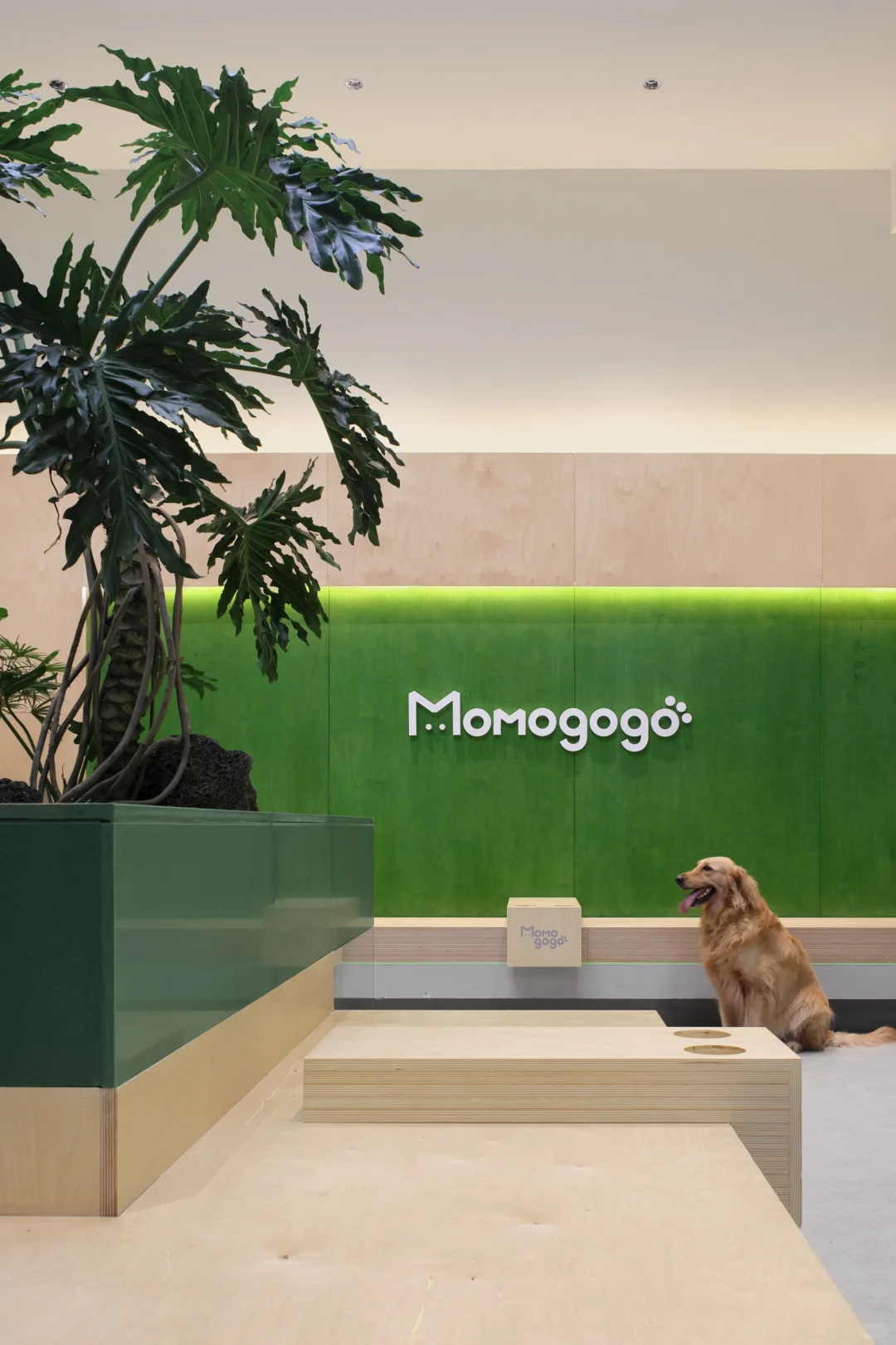 海南▶Momogogo人宠都市绿洲——毛孩子的友好综合空间-6