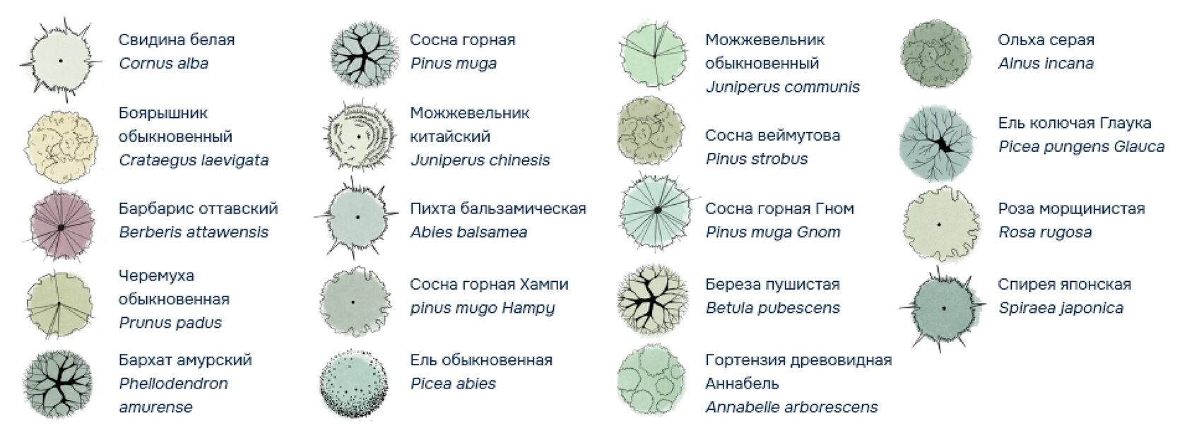 ЖК Акватория设计与美化项目丨俄罗斯秋明-36