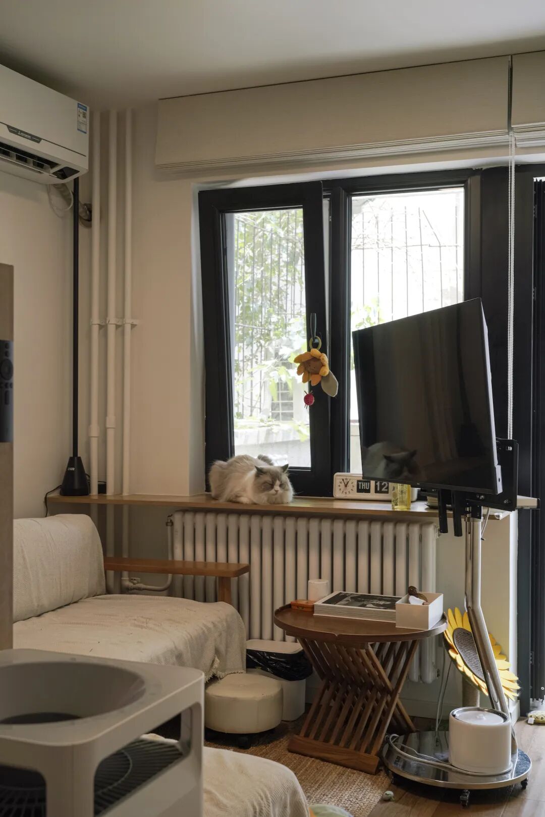 44㎡的治愈宇宙：一人四猫的共生乐园，小户型里的极致温柔-115
