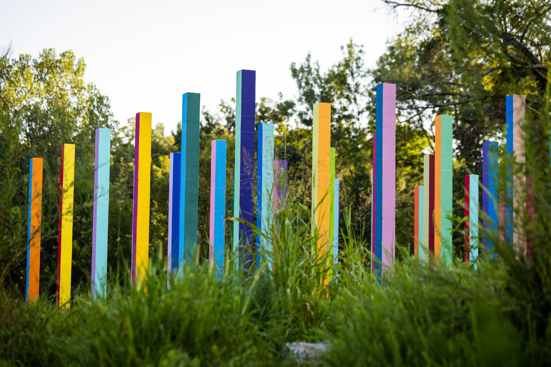 彩虹森林丨美国丨Office Kovacs-56