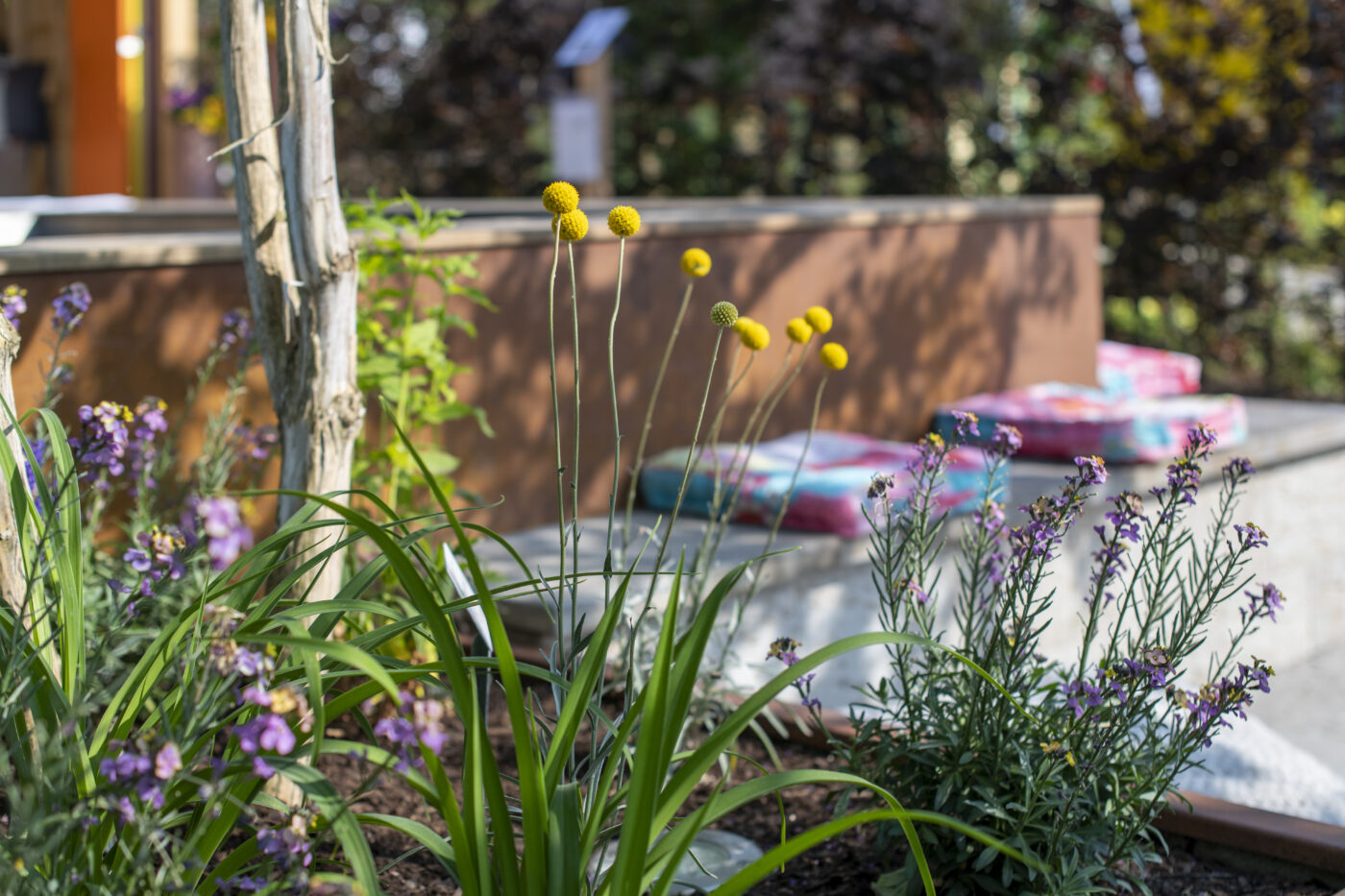 Gartenschau Balingen（巴林根园艺展花园项目）-58