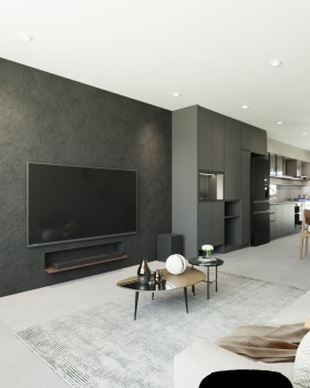 室内设计作品  自宅