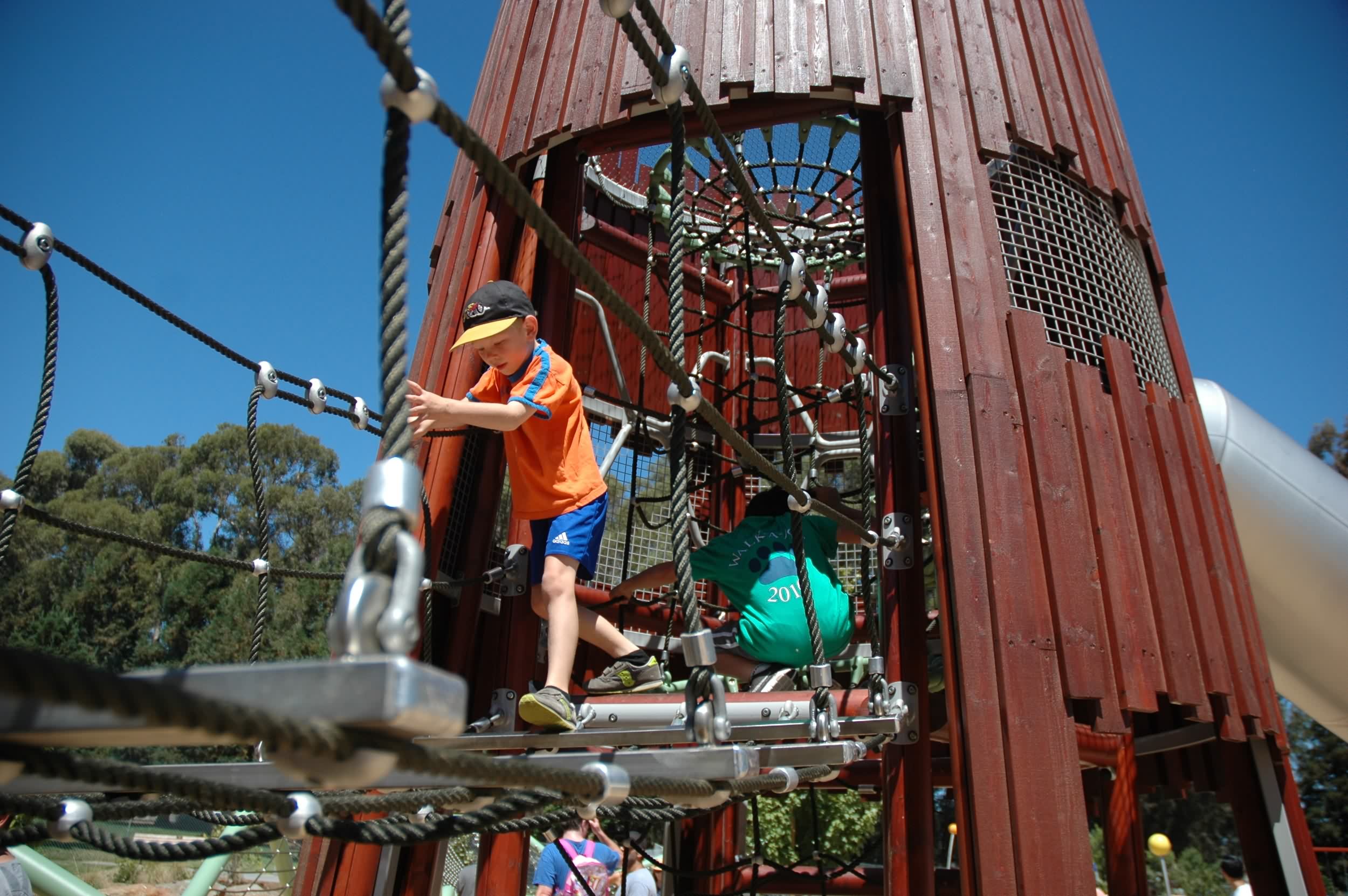 贝雷斯福德儿童公园 Beresford Park by Miller Company-15