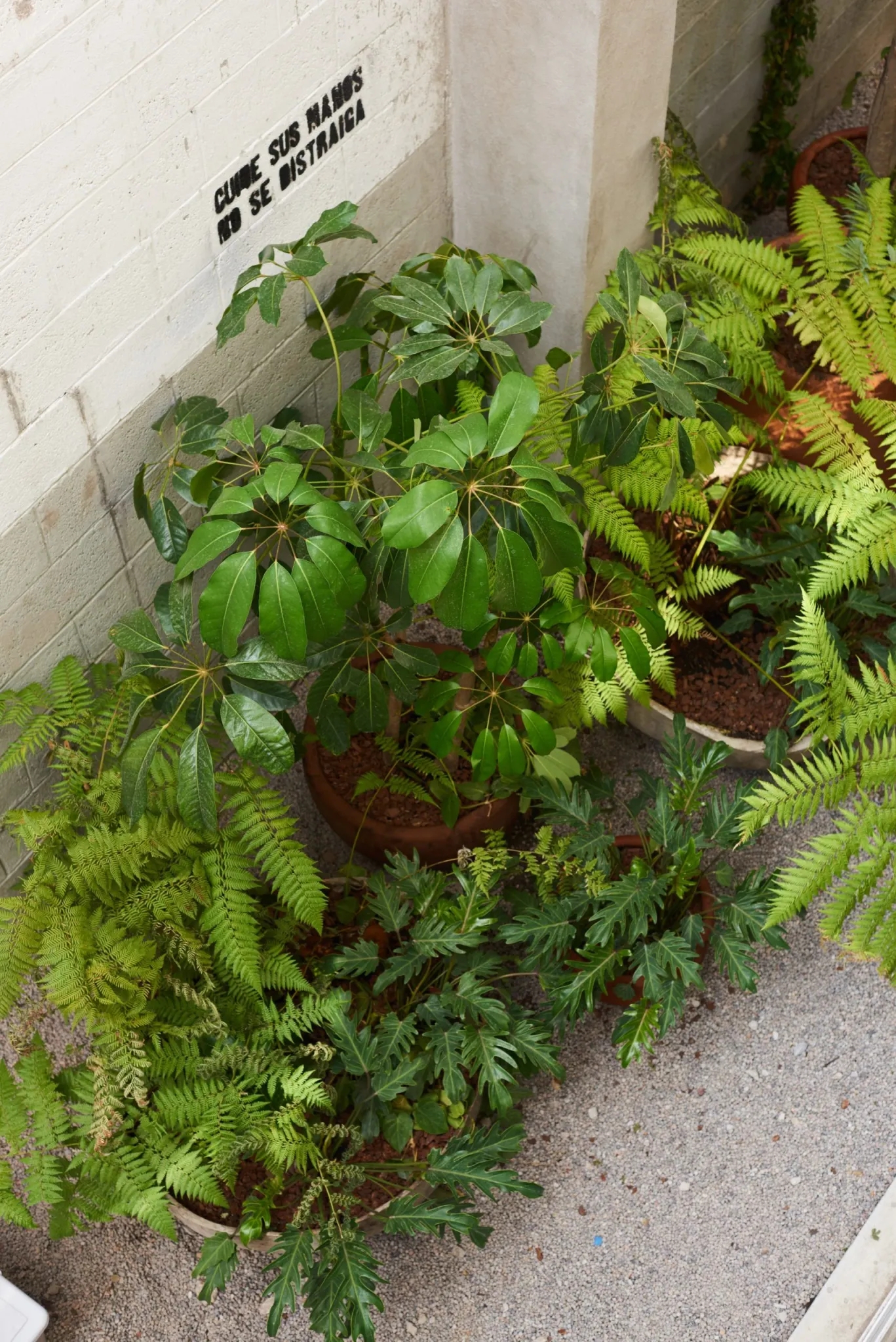 墨西哥城市公共景观-20