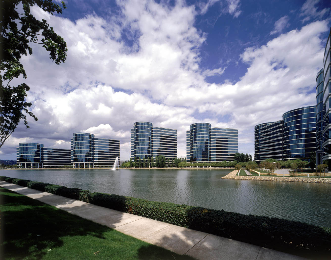 SAN FRANCISCO SPCA-0