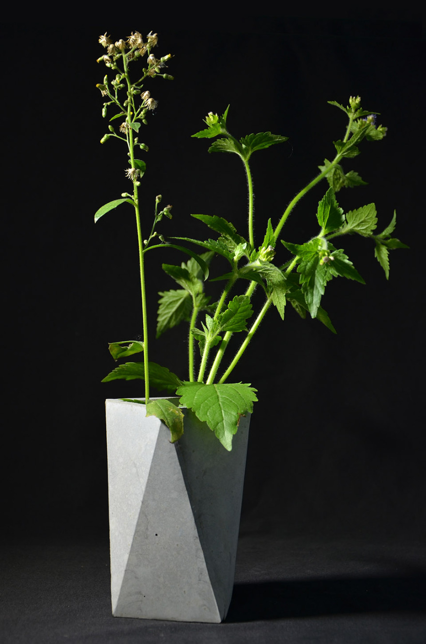 将美带入生活 & 可以自己制作的精致混凝土器物 / 造么工作室-38