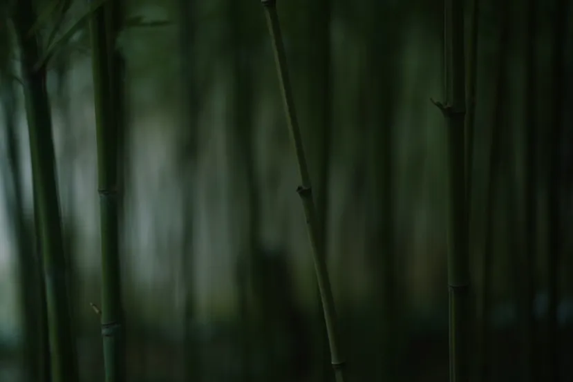 武空美学×沏茶师·东安天街店-16