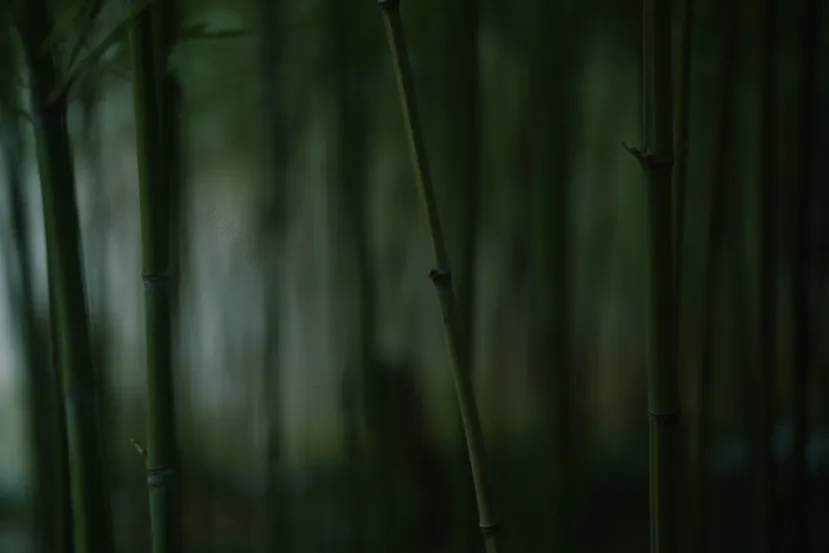 武空美学×沏茶师·东安天街店-16