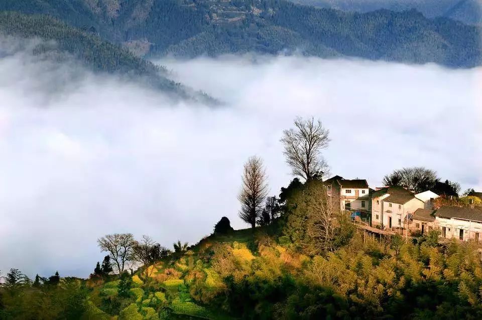 山居艺术 | 云间桃树,泉鸣林深-55