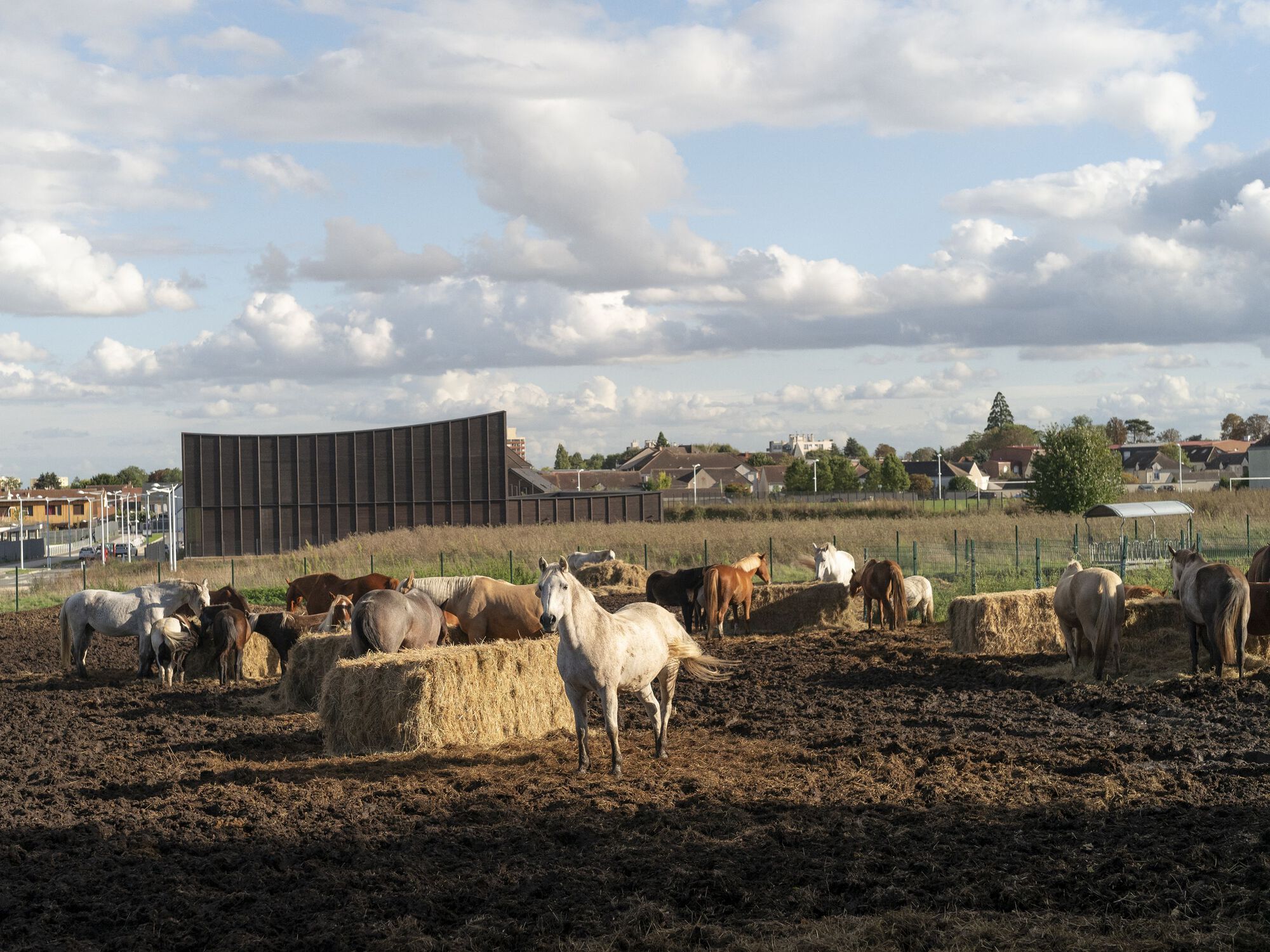 Gymnase Marie Marvingt au Plessis-Bouchard / Ateliers O-S architectes-35