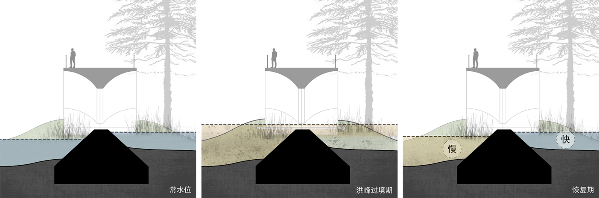 成都兴隆湖·湖畔森林图书馆丨中国成都丨昱道景观-14