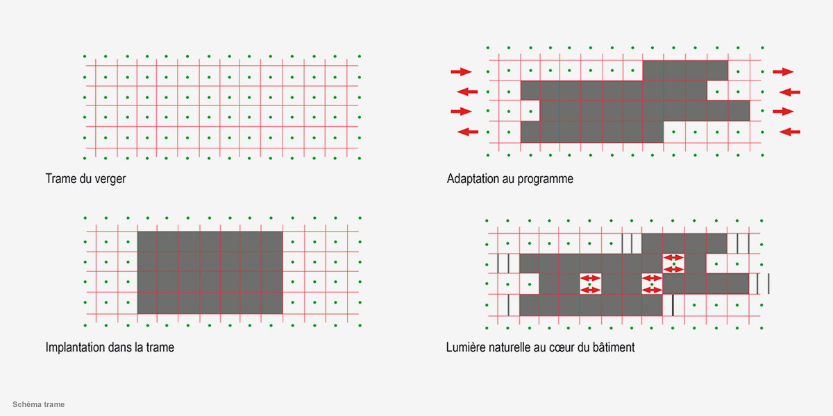 丨CoCo architecture等-4