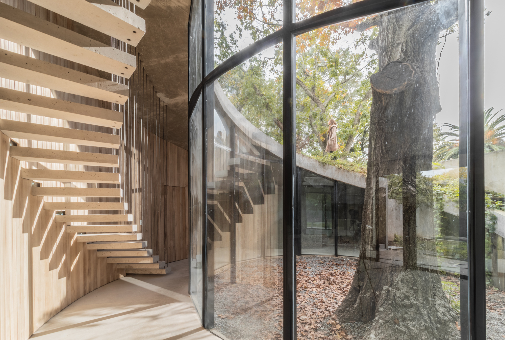 卢玛之家丨Argentina丨AtelierM-17