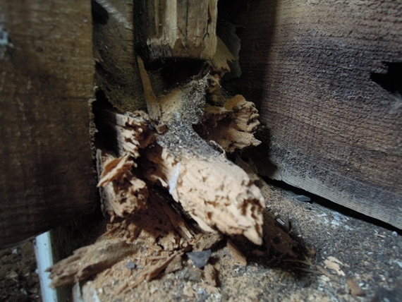 白樺と薪ストーブの家リノベーション丨株式会社スロウル-16