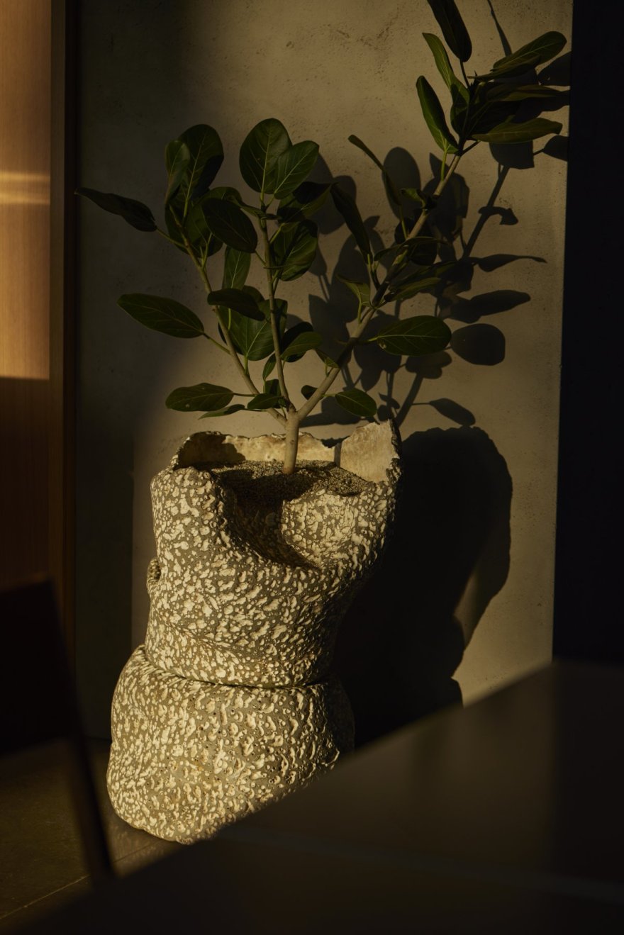 CaymusSuisun 酒庄丨Bohlin Cywinski Jackson-16