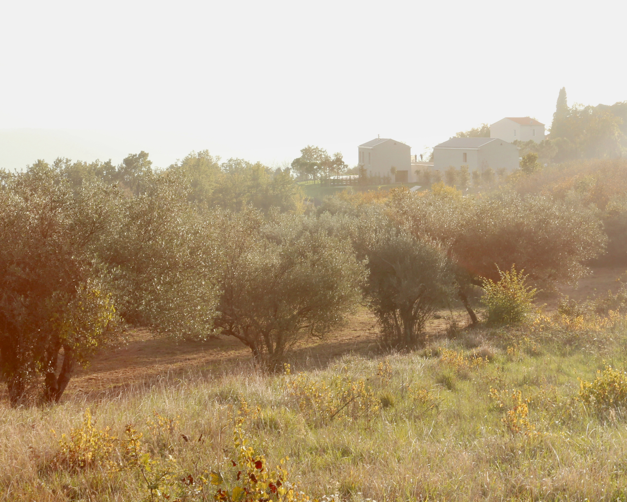 丨克罗地亚丨Arhitekti Počivašek Petranovič-32