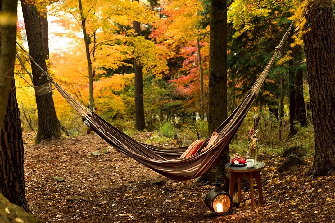 京都虹夕诺雅 | 野奢中的野奢，美到窒息！-121