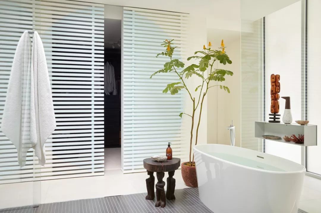 纽约曼哈顿高层住宅,杰米·布什的自然历史艺术设计-62