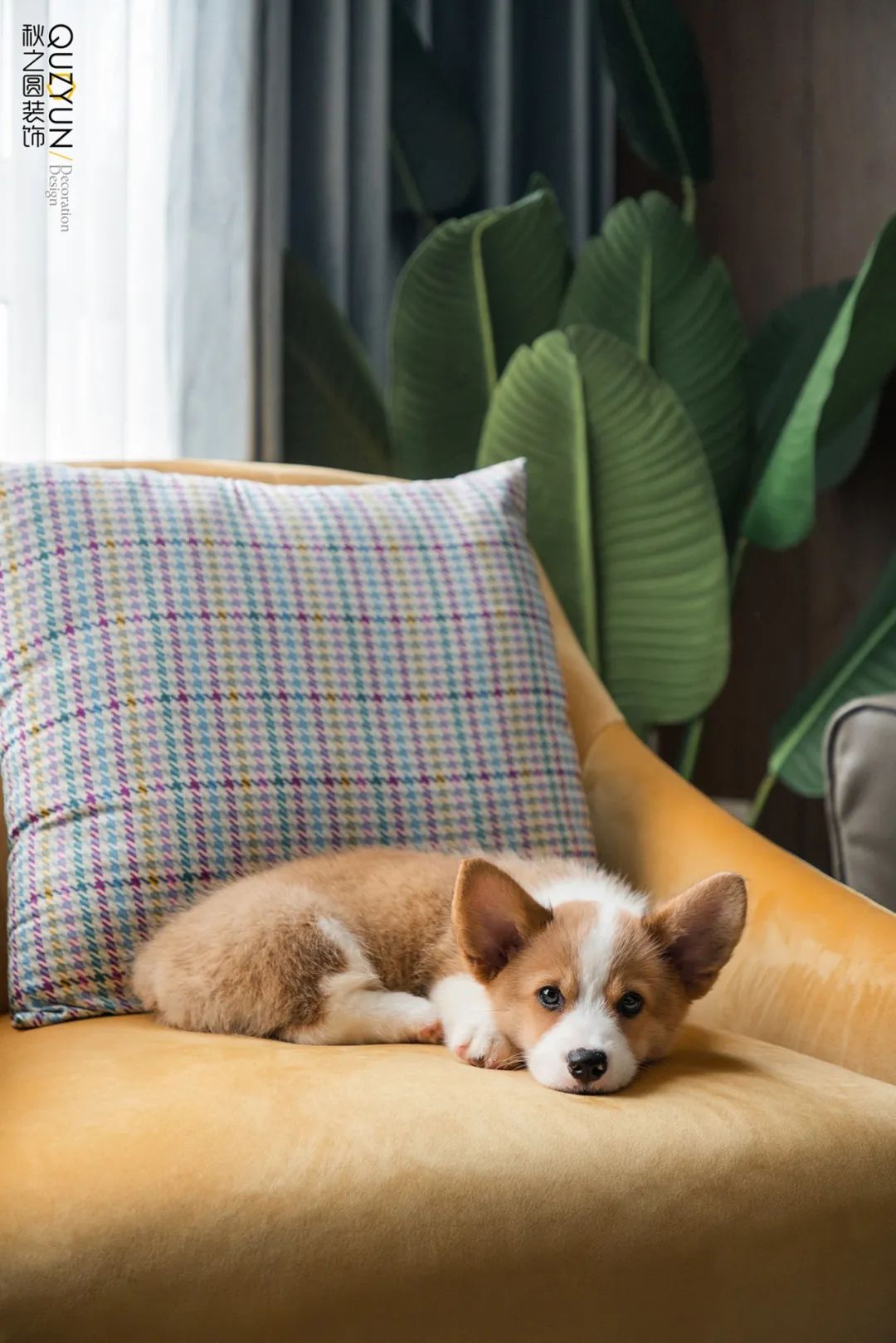 常州府西花园现代居住空间，设计师朱文超打造“光感之家”-1