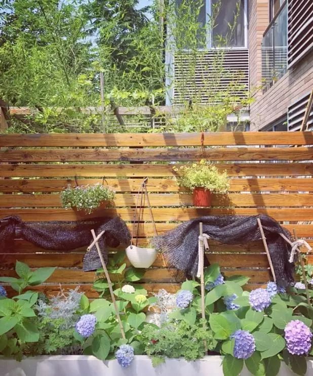 阳光里的美好片段-28