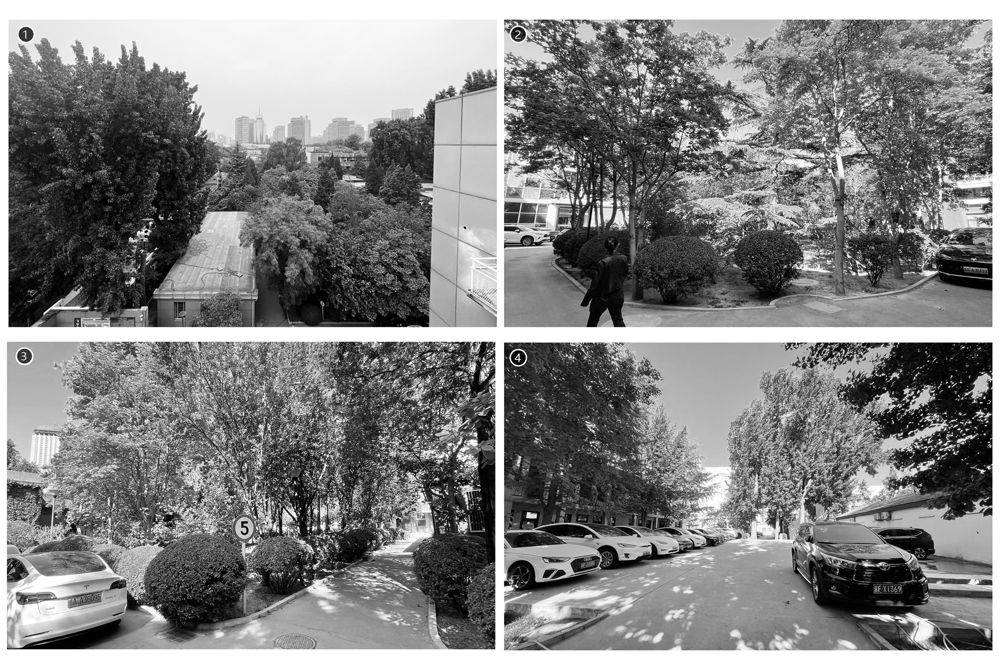 北京市三里屯西五街5号院花园丨中国北京丨OneScape一域景观事务所-18