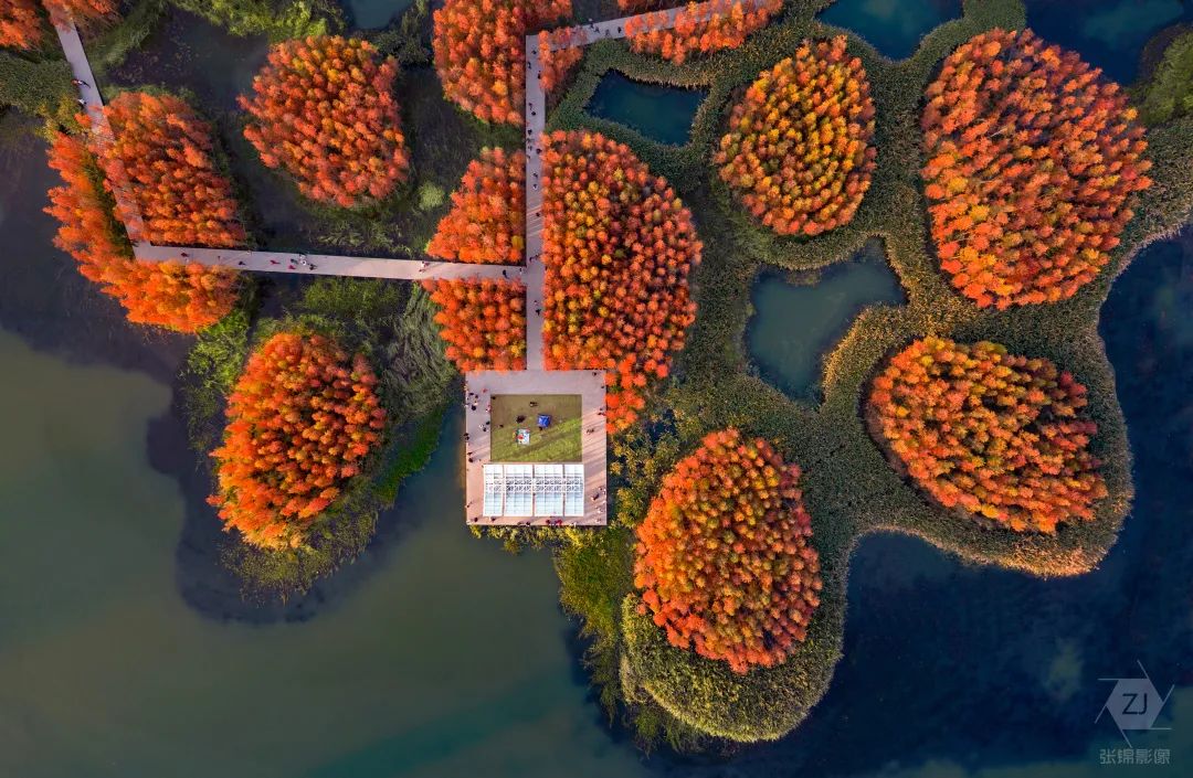 南昌市鱼尾洲湿地公园丨中国南昌丨北京土人城市规划设计股份有限公司-17