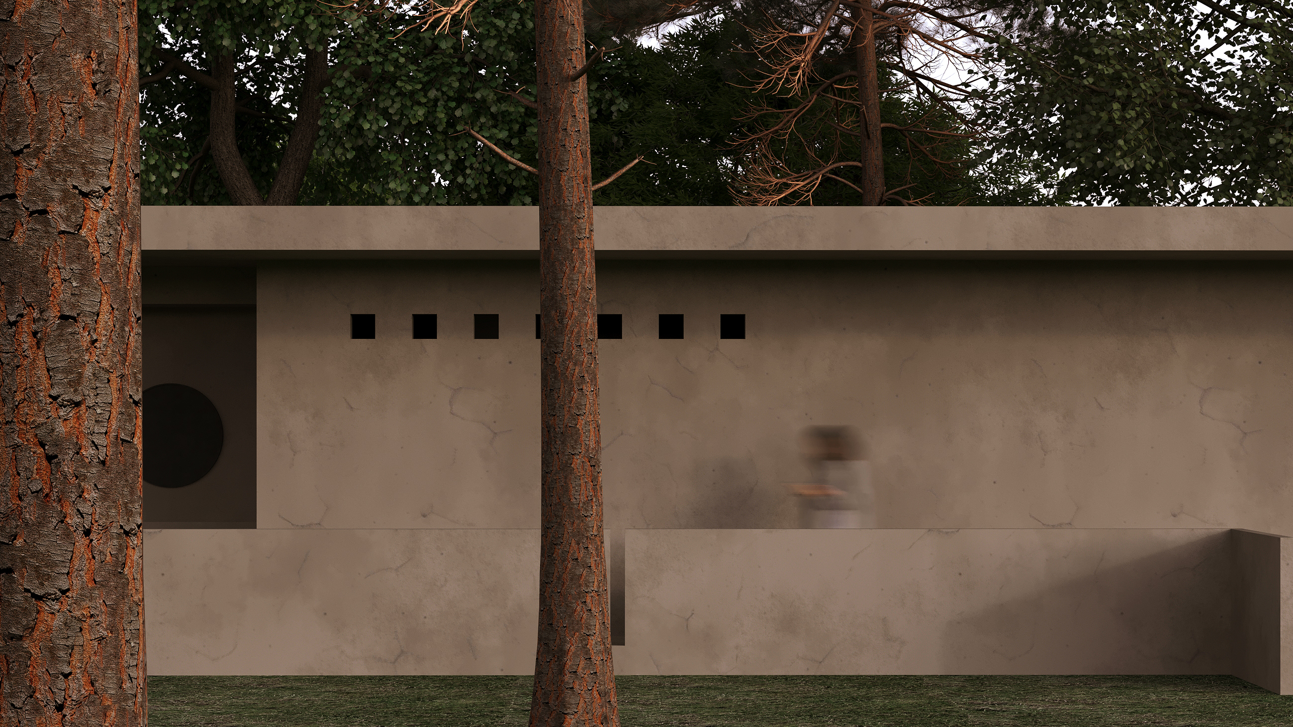 树林中的个性厕所-10