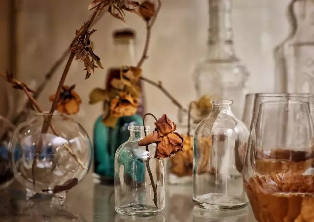 两个小女生，造了一间全镇上最文艺的花房，从此与花草为伴-82