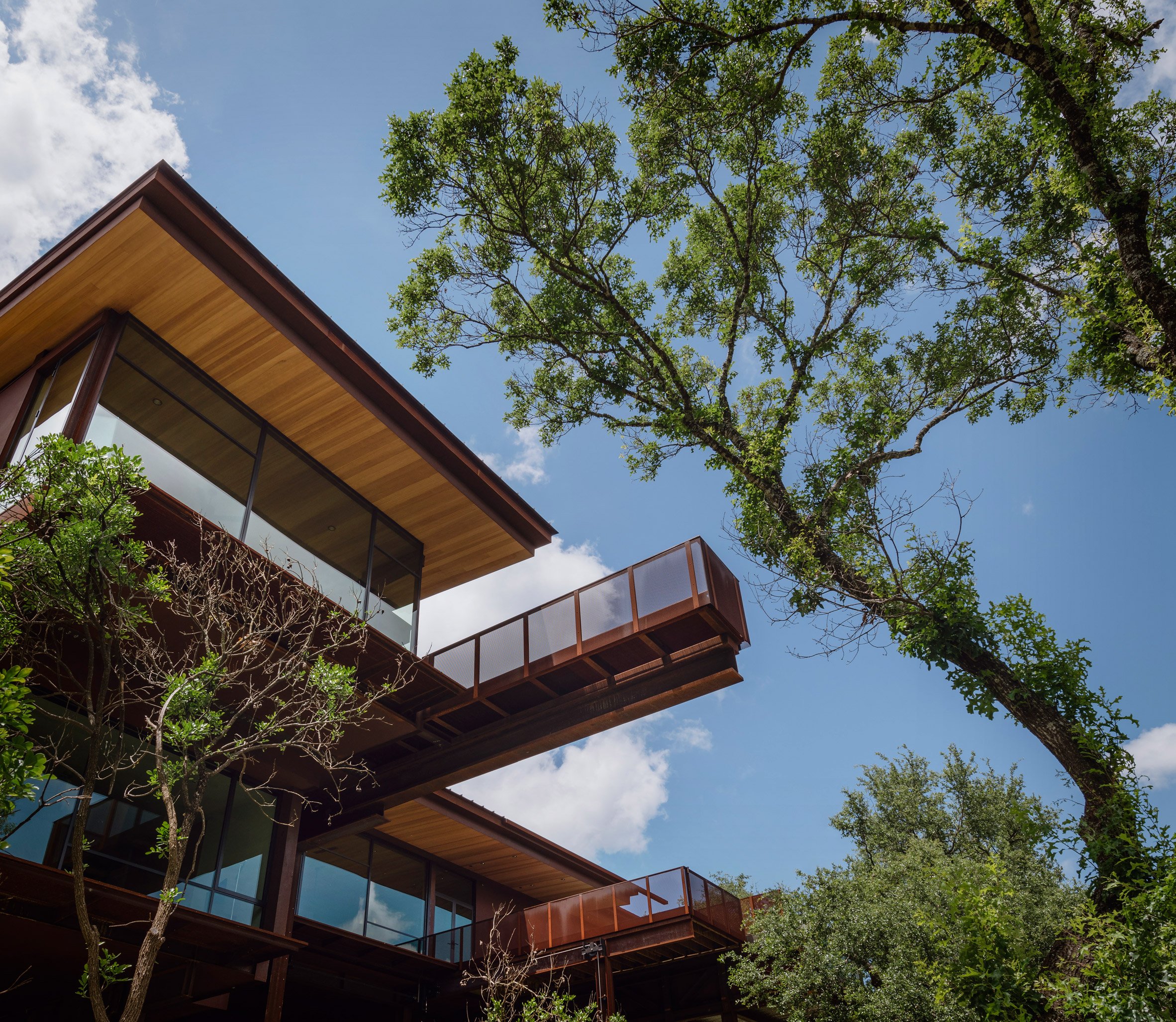 奥尔森·昆迪格设计的奥斯汀"Caddy Shack" | 悬浮的钢铁之家-3